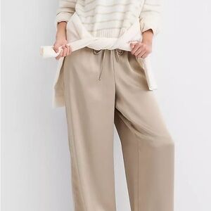 LOFT Tan Wide Leg Women's Pants